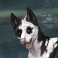 Piebald runt Headshot