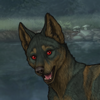 ((Pup))Sell Headshot