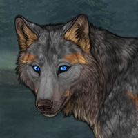 Ocean eyes Headshot