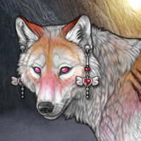 Wolf Headshot