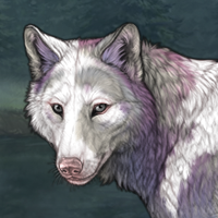 Wis, sma - PIEBALD sell Headshot