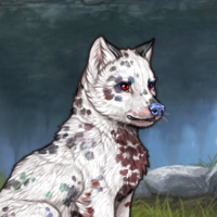 Dalmatian Headshot