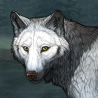 Wolf Headshot