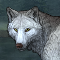 Wolf Headshot