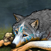 Wolf Headshot