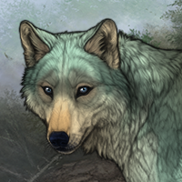 Kelpie Headshot