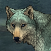 Kelpie Headshot