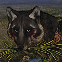 Yarros Headshot
