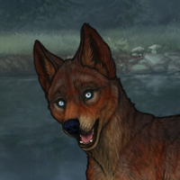 5M T2 Husky Headshot