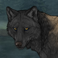 Patchpelt Headshot