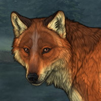 fox f Headshot