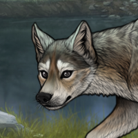adira Headshot