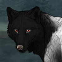 Wolf Headshot