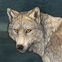 timber wolf Headshot