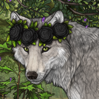 Wolf Headshot