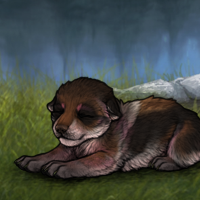 New Puppy Headshot