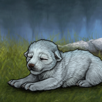 Avantika Pup Fodder 2 Headshot