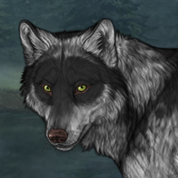 Wolf Headshot