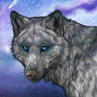 An early-grown wolf Headshot