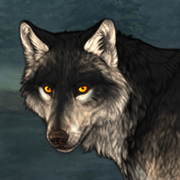 Wolf Headshot