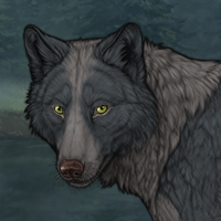 Wolf Headshot