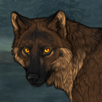 Wolf Headshot