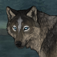 Wolfdog Headshot
