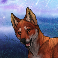Autumn Dawn Headshot