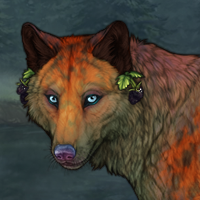 Firecracker Headshot