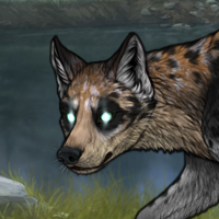 Svenn Deerhide Headshot