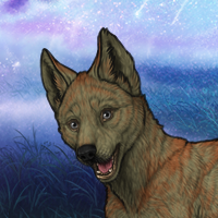 Khaki Male Pup Headshot