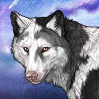 Miski - Piebald Headshot