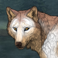 Tundra Headshot