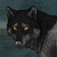 Wolf Headshot