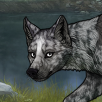 Ruffy Headshot
