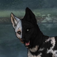 New PuppySPLITpale Headshot