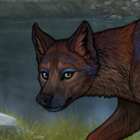 56 Dark Fawn Female Headshot