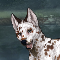 3M TII Dalmatian sell Headshot