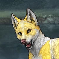 Sell fox base wolf Headshot