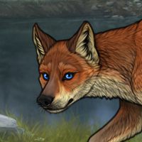 Fuksy | fox Headshot