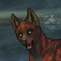 HUSKYTriple Fern Giveaway Headshot