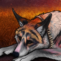 Ridens Vulpes Headshot