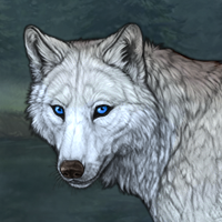 Wolf Headshot