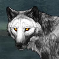 Wolf Headshot