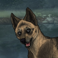 New Puppy Headshot