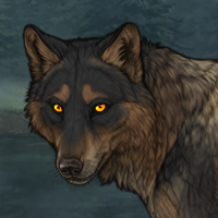 Wolf blackish Headshot