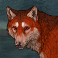 Crimson Fox Headshot