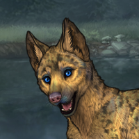 Enclave Pup Headshot