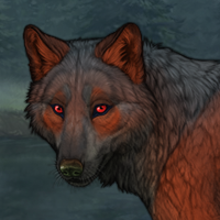 The Burnt Wolf Headshot