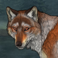 🦊 Fox + silver inuit Headshot